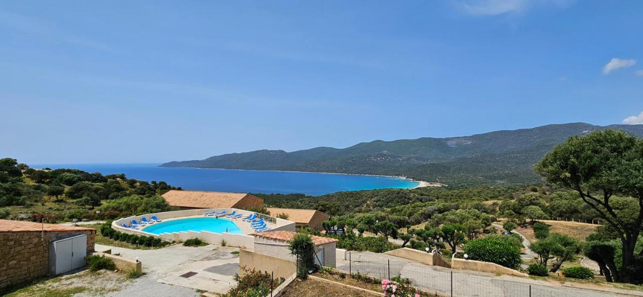 Chalereux T2 Vue Mer Et Piscine Alba Rossa Serra-di-Ferro  Eksteriør billede